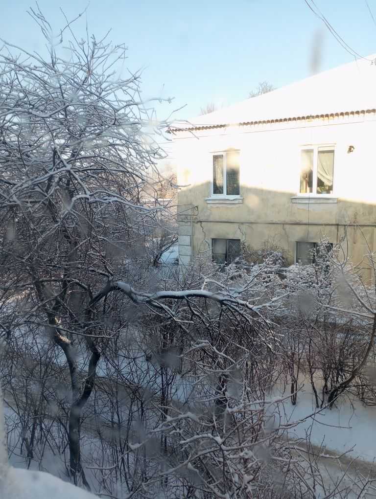 ������ 3-������� ��������, �������� ���., �����-������������, ������, ����� ������