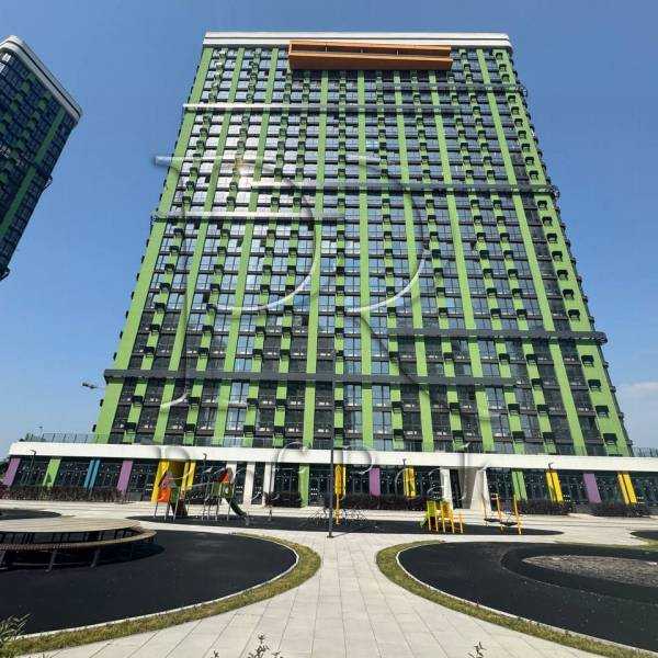 ������ 1-������� ��������, �������� ���., ����, ��������� �-�, ��������� ������