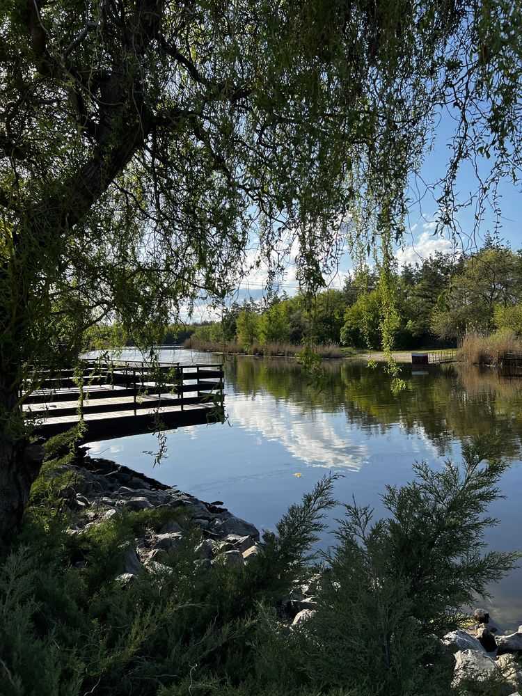 ������ ������, ���������������� ���., ��������������, ��������, �������