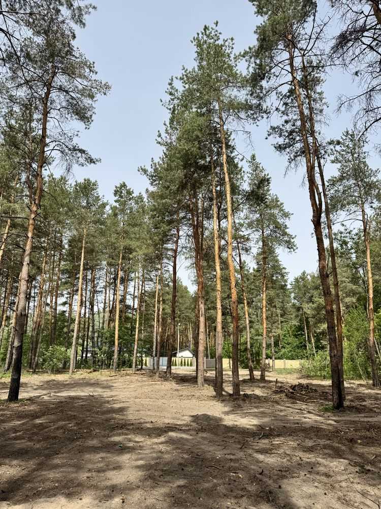 ������ ������, ���������������� ���., ��������������, ��������, �������