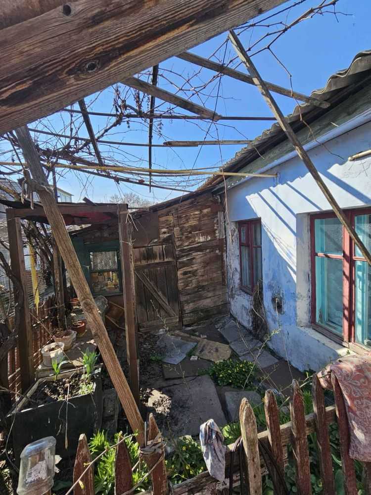 ������ 1-������� ��������, �������� ���., ������, ������������ �-�, ����������