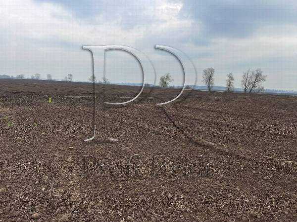 ������ ������, �������� ���., �������������, ���������, �������� ������� ������� 08350