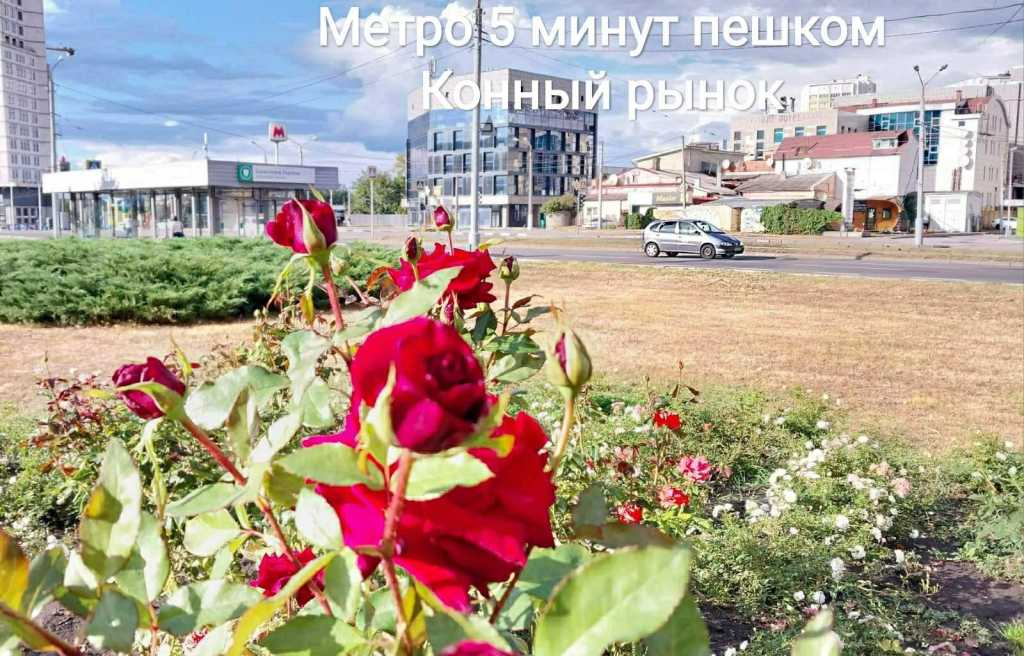 ������ 3-������� ��������, ����������� ���., �������, ���������� �-�, �������� ����������