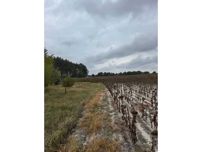 ������ �������� ������, �������� ���., ������������, ����������, ����