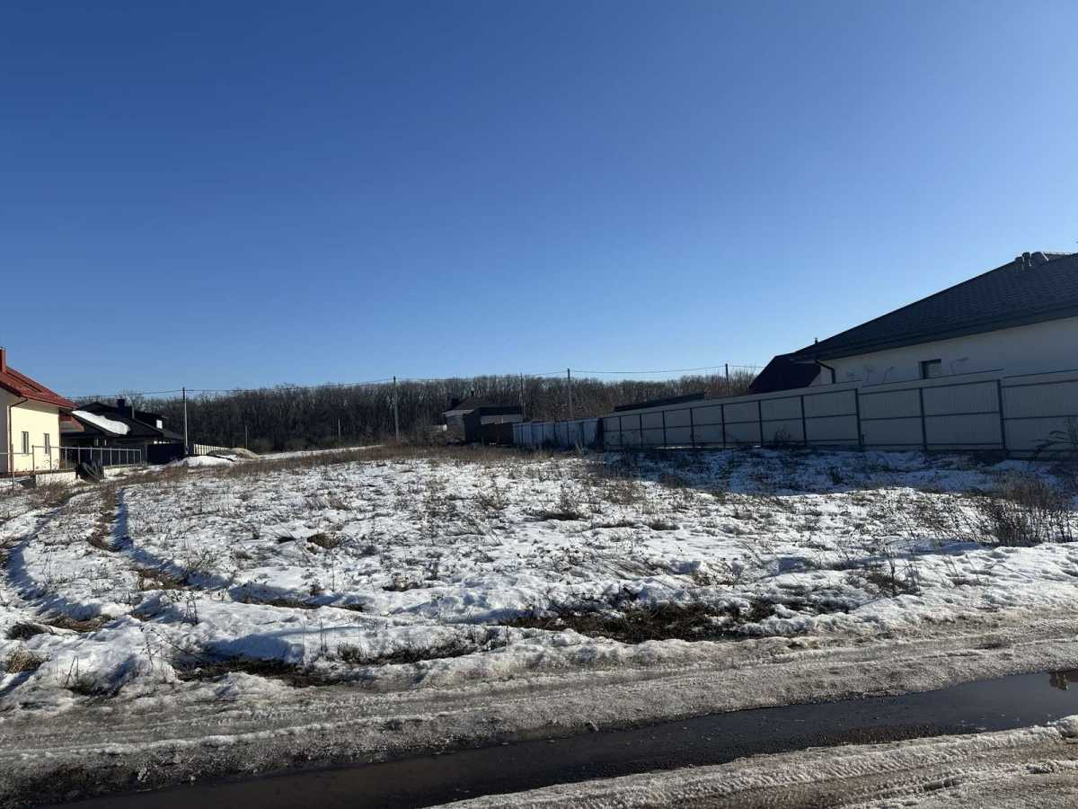 ������ ������, �������� ���., �����-������������, ������, ����������