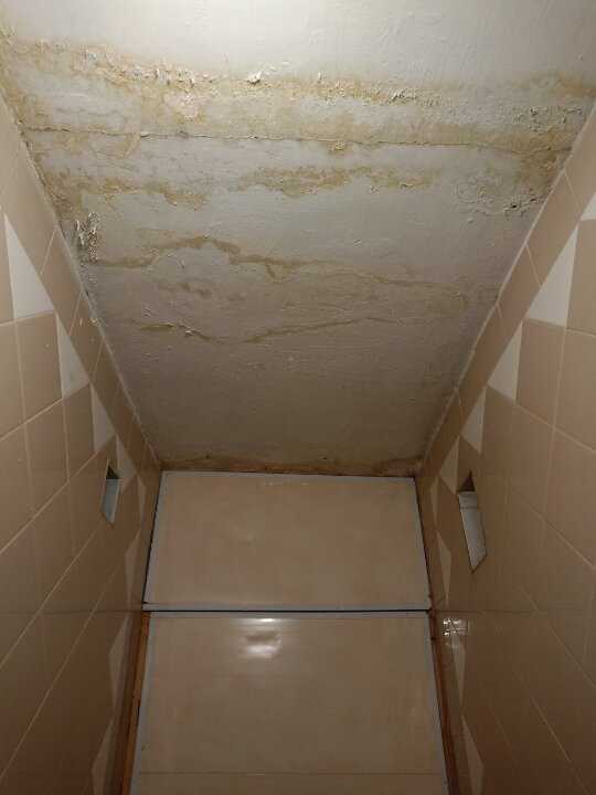 ������ ������, ����������� ���., �������-����������, ��������, ����������� ����