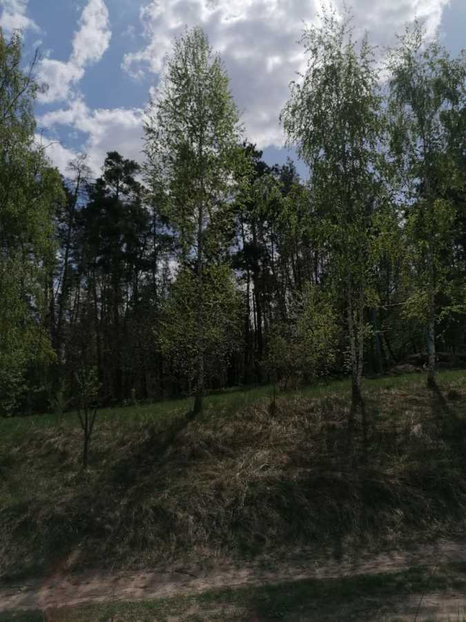  ,  ., , , 