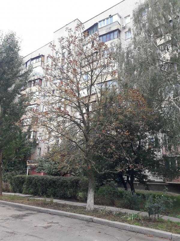 ���� 1-������� ��������, �������� ���., ����, ������������ �-�, ��������� ��.