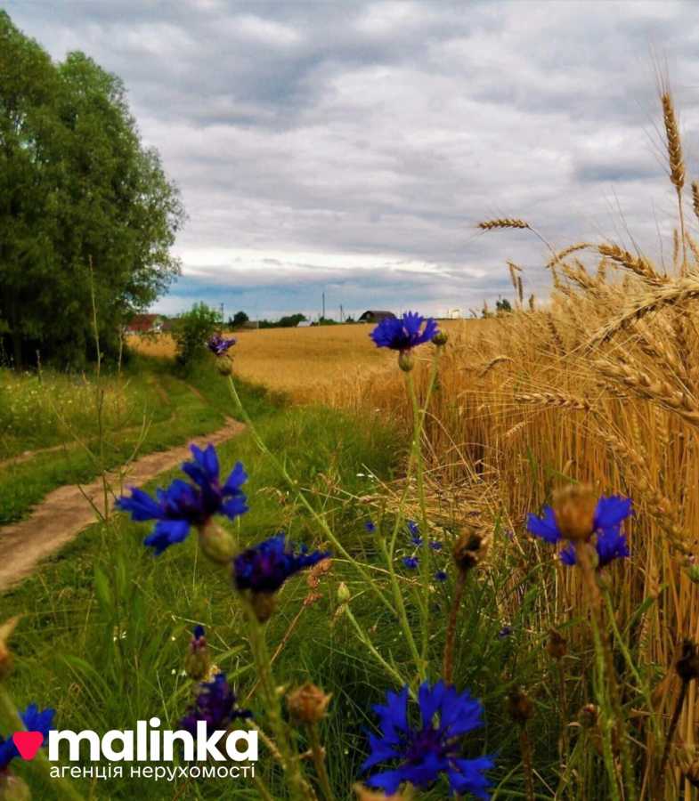 ������ �������� ������, ��������� ���., ����������, ������, ��������