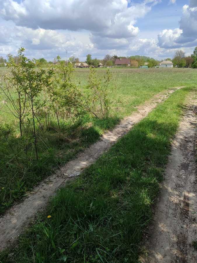   ,  ., , , 