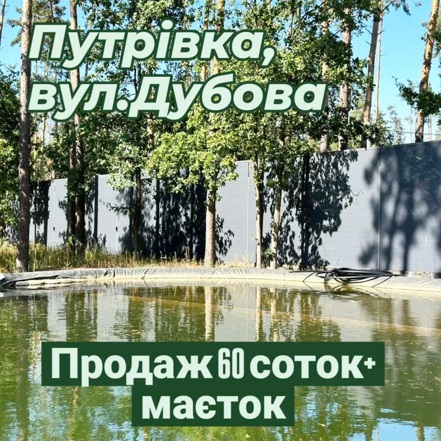  ,  ., ,  -,  .