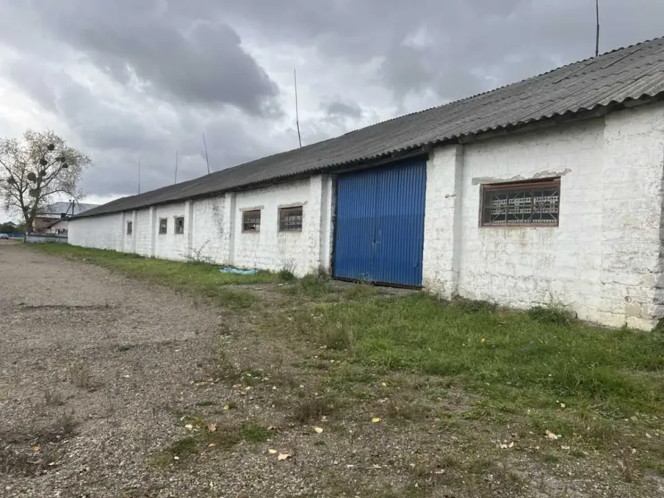 Сдам склад, Черновицкая обл., Глыбокский, Тарашаны, Головна