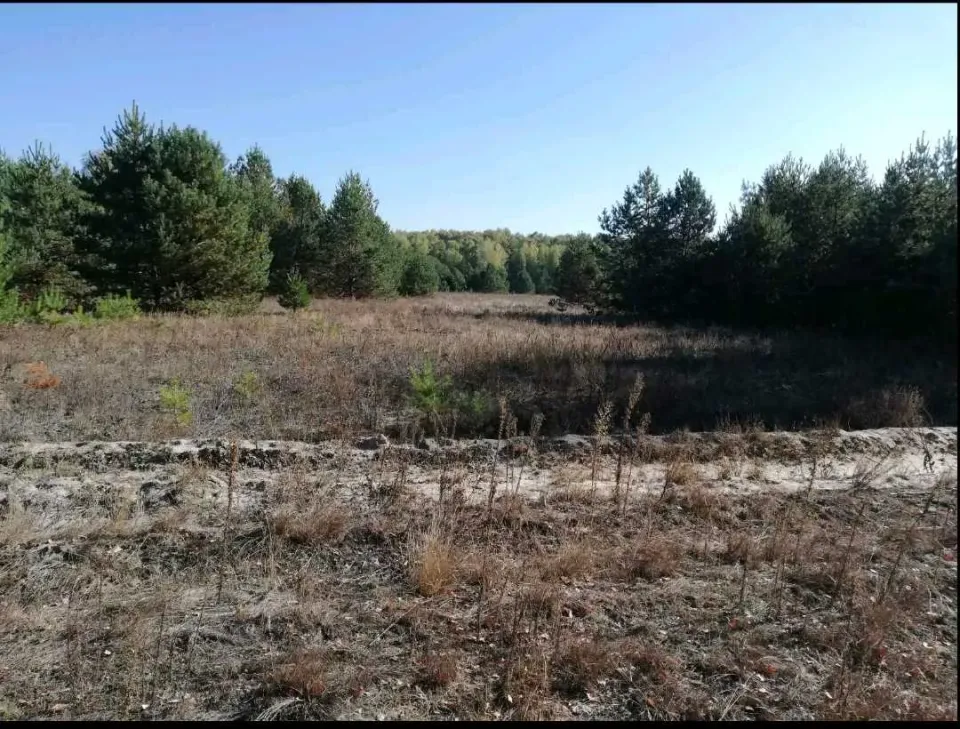 Продам ділянка, Киевская обл., Макаровский, Грузское, Шевченка