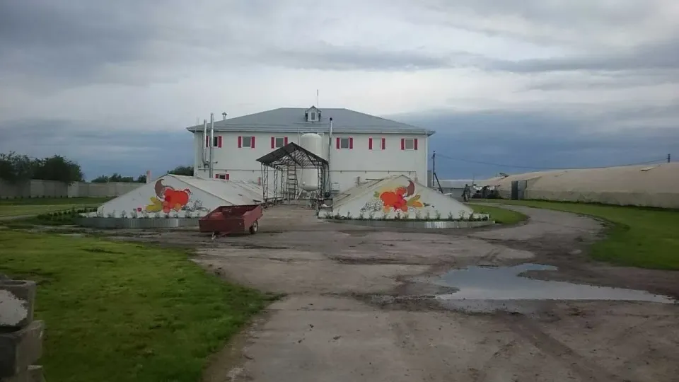 Сдам офіс, Киевская обл., Броварский, Русанов, Жовтнева